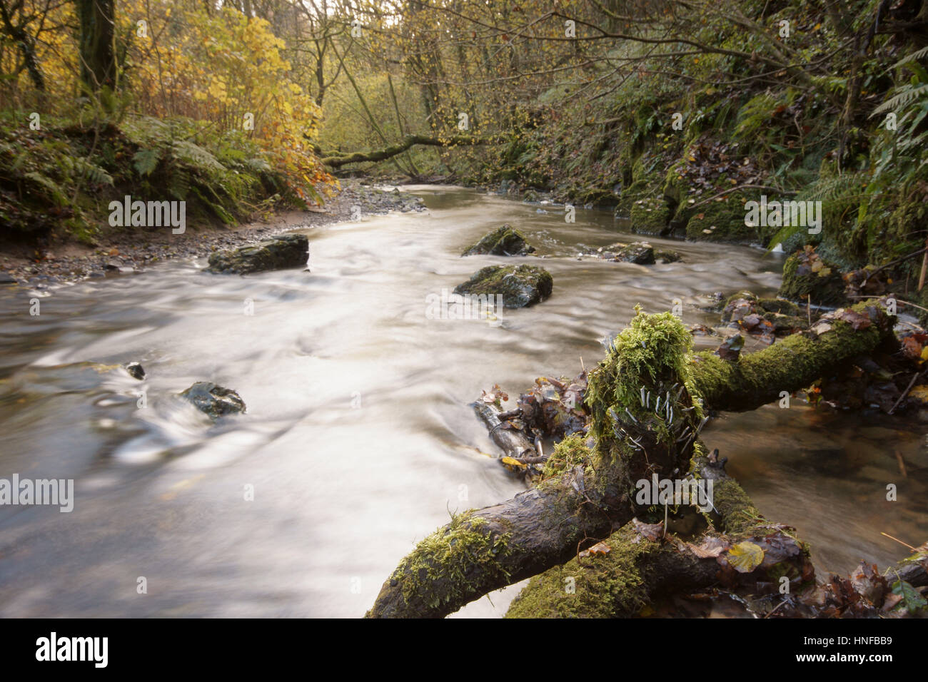 Ilston Cwm Foto Stock