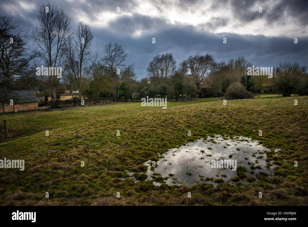 Un stagno di rugiada su terreno coltivato nei pressi di Caxton, Cambridgeshire, Regno Unito Foto Stock
