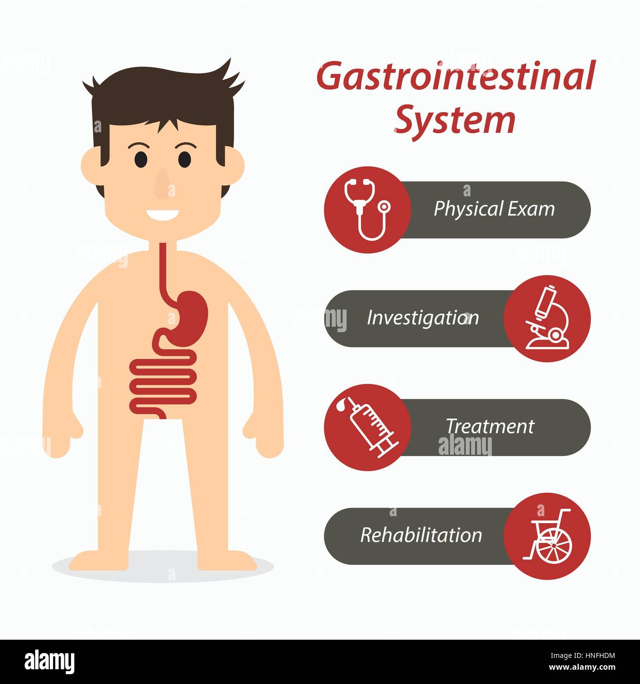 Il sistema gastrointestinale e medical icona linea Illustrazione Vettoriale