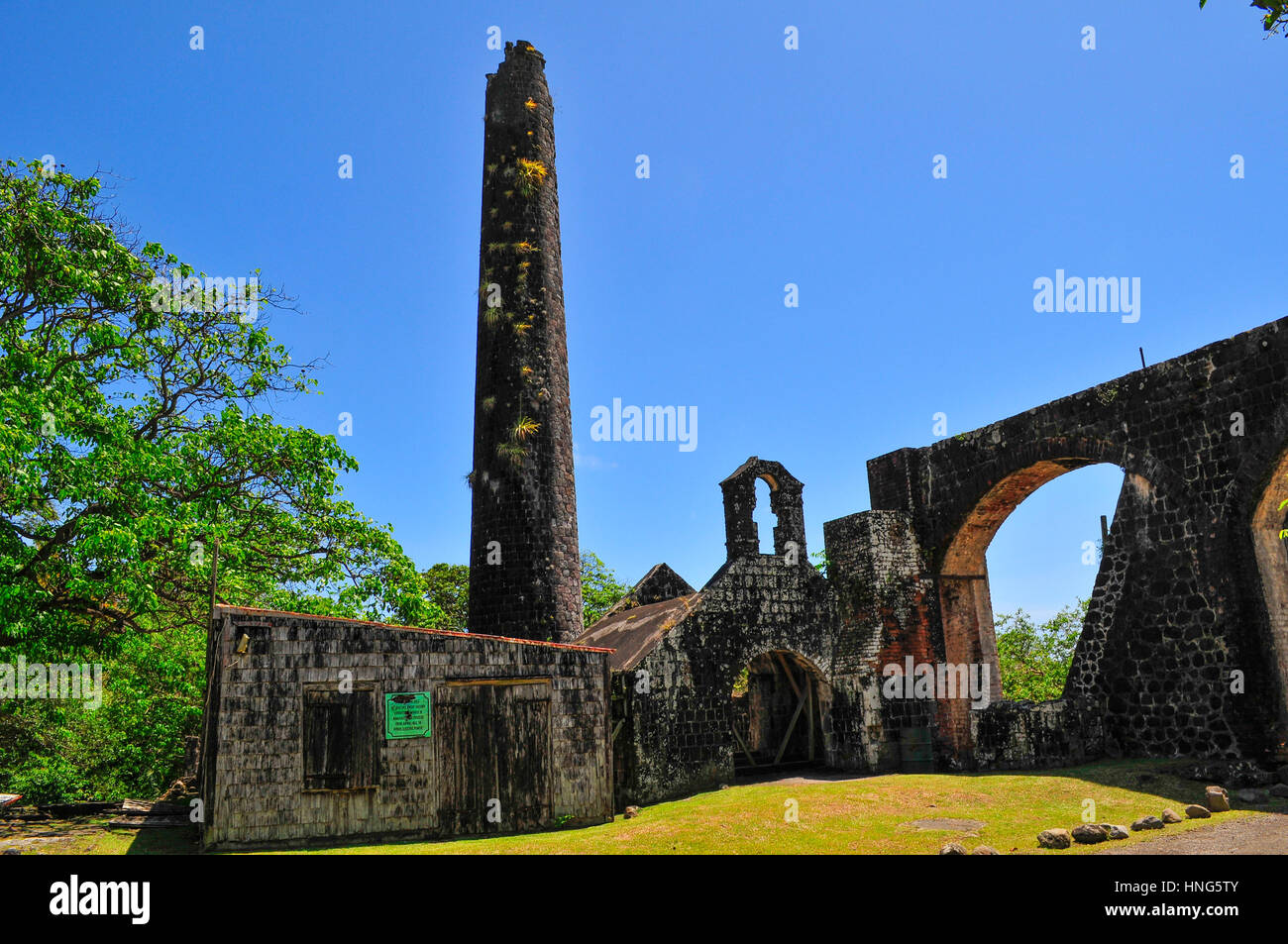 Caraibi, Isola di Saint Kitts Foto Stock