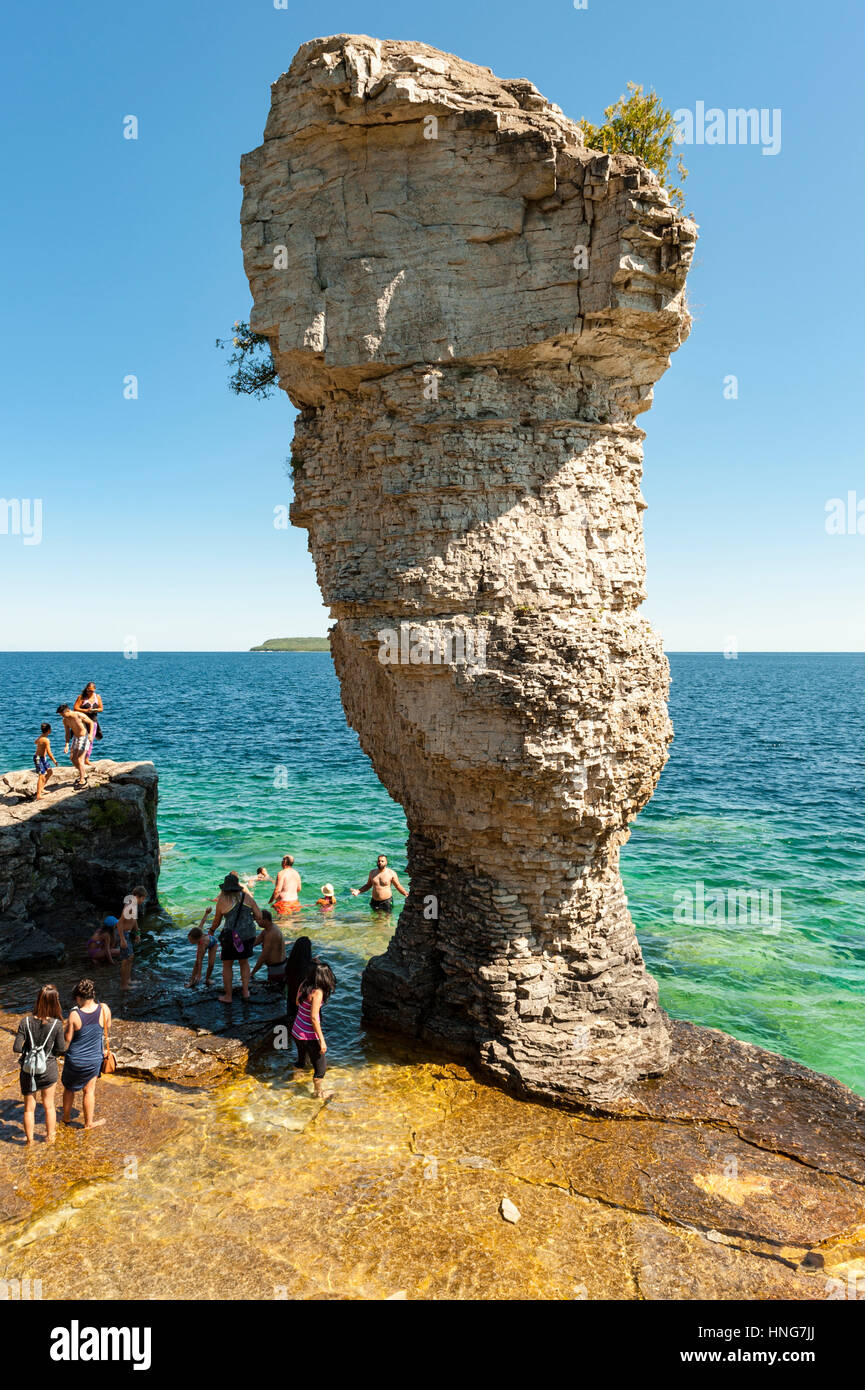 Vaso di fiori isola a scandagliare cinque National Marine Park sulla Penisola di Bruce, vicino a Tobermory, Ontario, Canada. Foto Stock