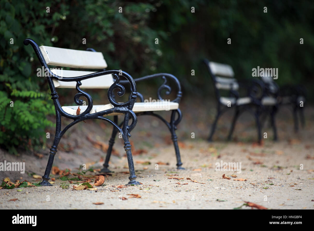 Panchine nel parco in autunno Foto Stock