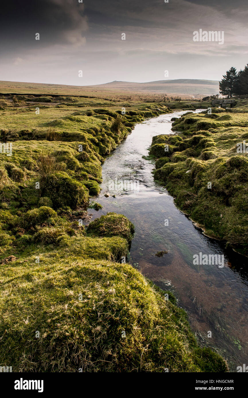 Un piccolo fiume che corre attraverso il terreno paludoso su terreni accidentati Tor, designato come una zona di straordinaria bellezza naturale a Bodmin Moor in Cornovaglia. Foto Stock