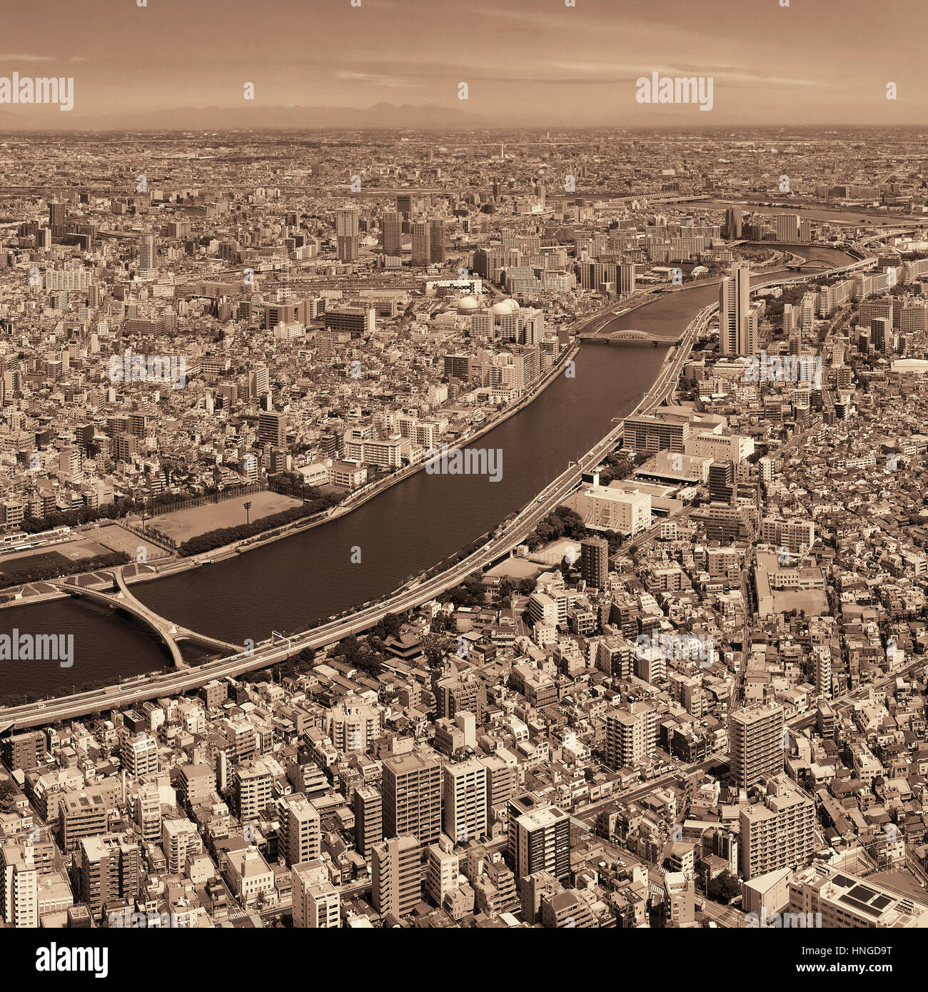 Tokyo urban skyline sul tetto con vista sul fiume, Giappone. Foto Stock