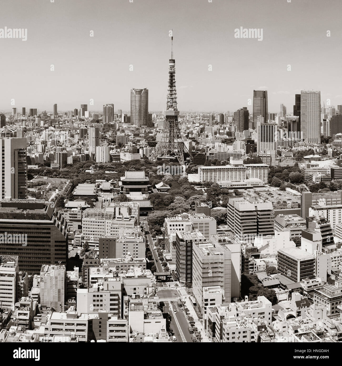 La Torre di Tokyo e Urban Skyline Rooftop view, Giappone. Foto Stock