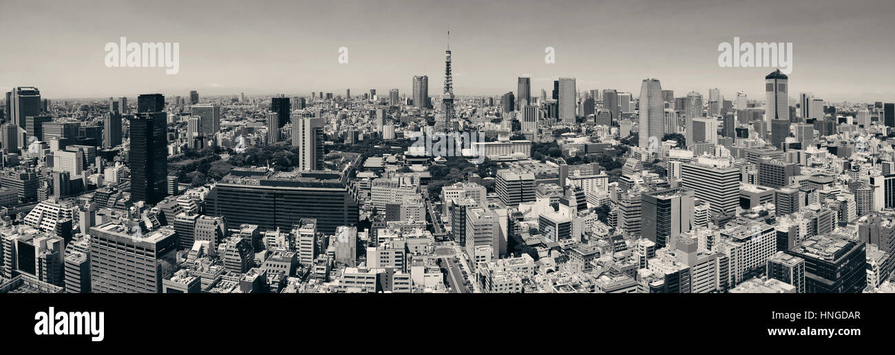 La Torre di Tokyo e Urban Skyline Rooftop view, Giappone. Foto Stock