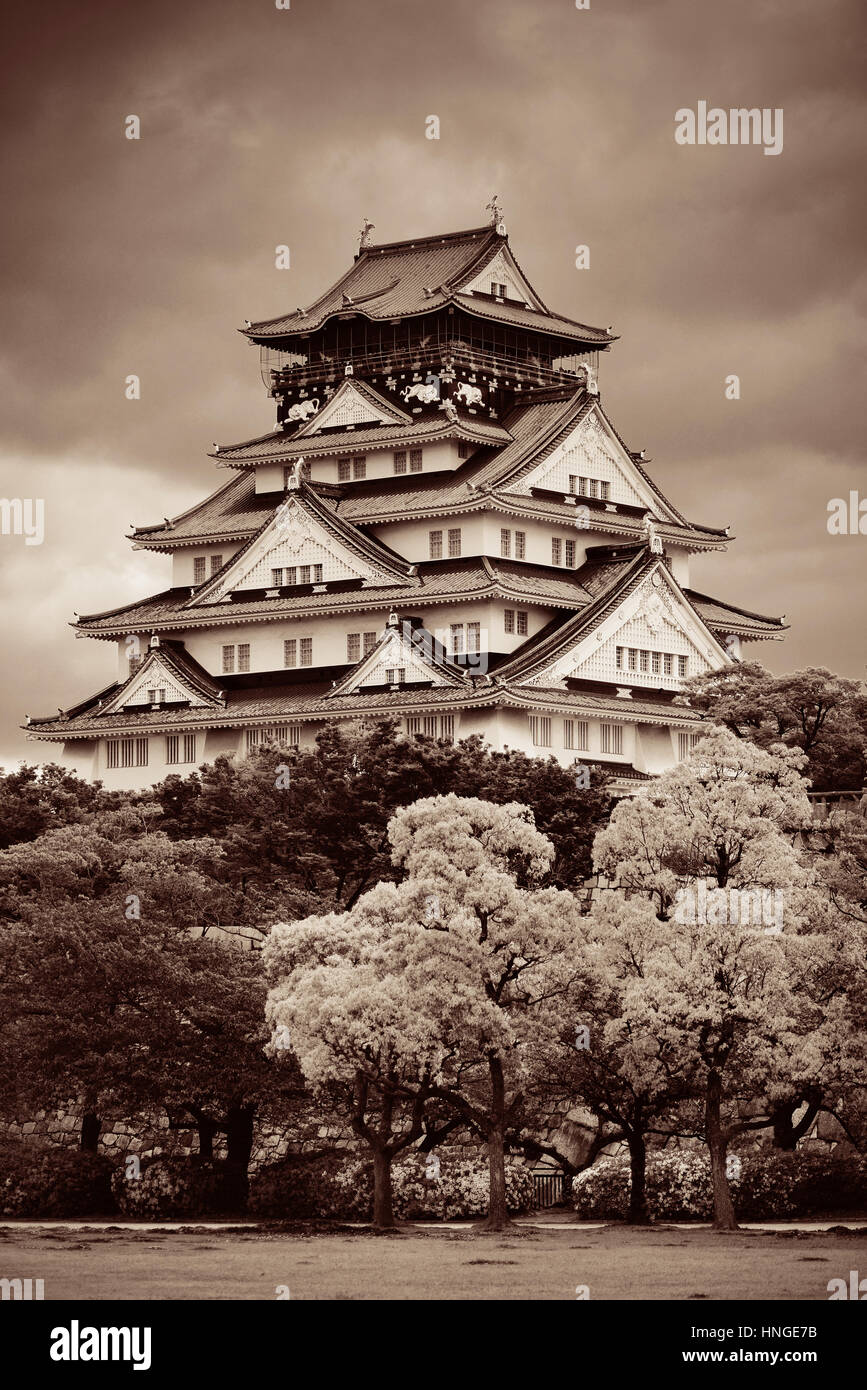 Il Castello di Osaka come il famoso storico punto di riferimento della citta'. Il Giappone. Foto Stock