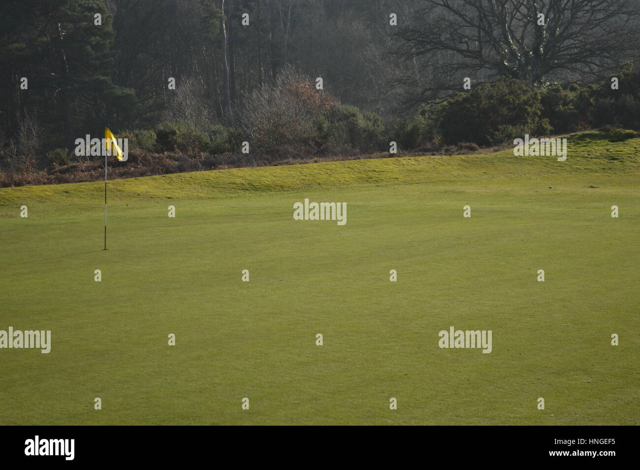 Un putting green e bandiera a Reigate Hill Golf Club, Surrey, Regno Unito Foto Stock