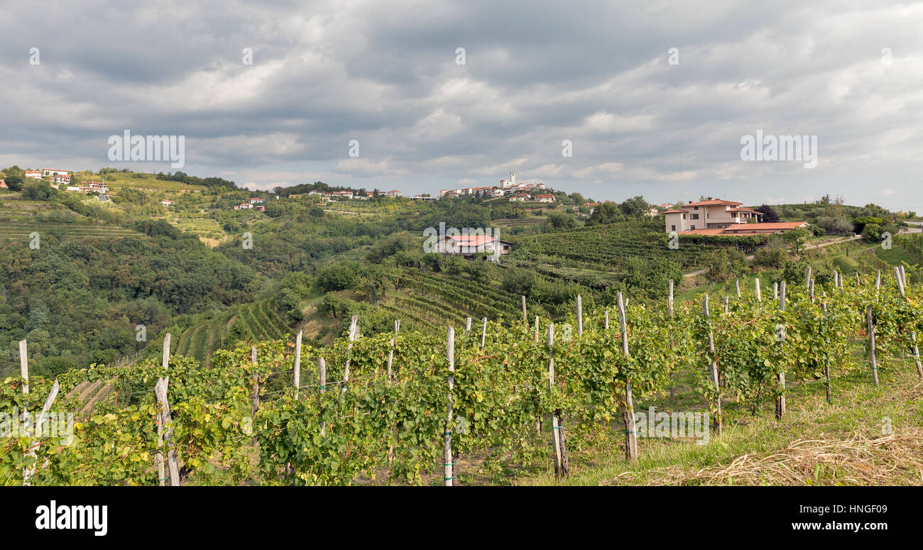 Rurali paesaggio mediterraneo con Smartno villaggio medievale e vigneti. Regione Brda in Slovenia occidentale. Foto Stock