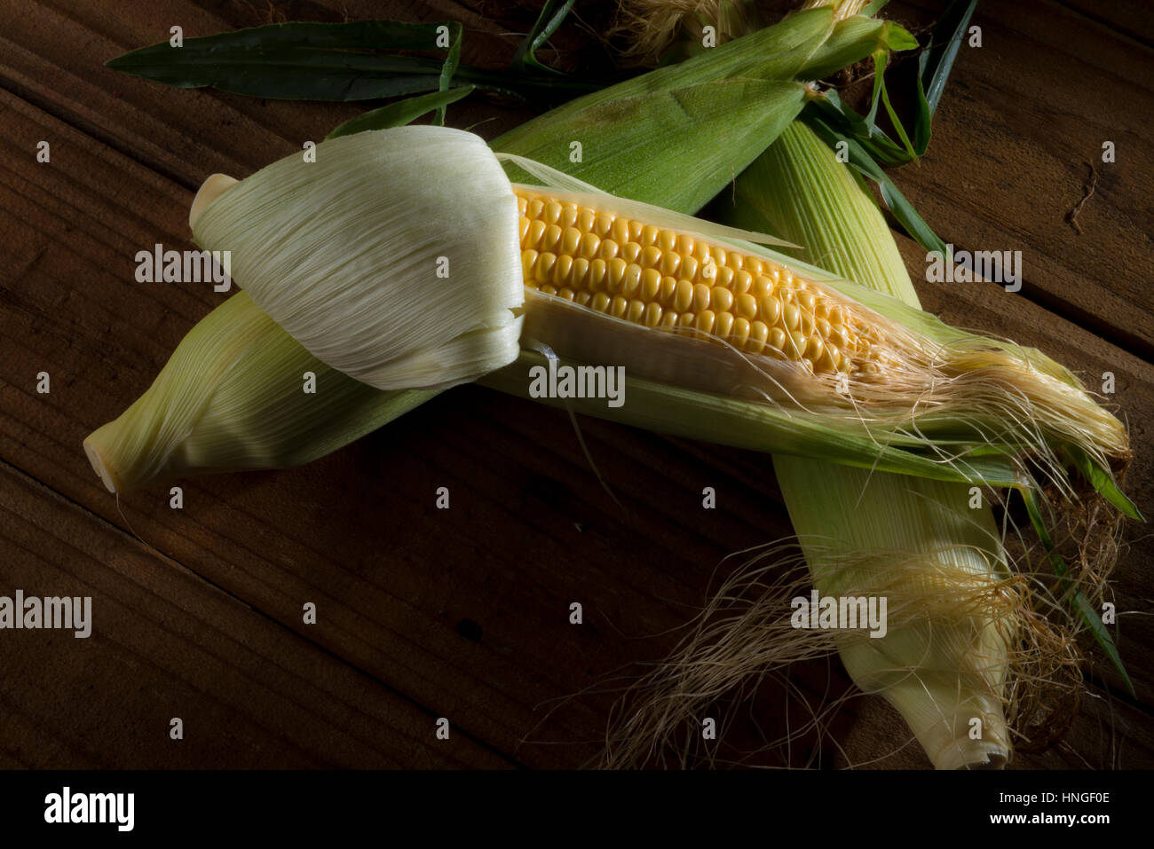Dolce di mais giallo in open lolla Foto Stock