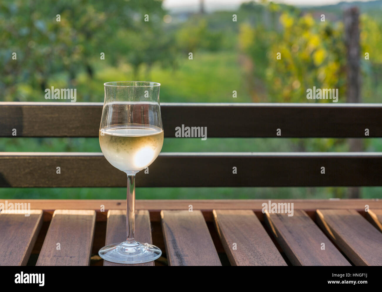 Bicchiere di vino bianco sul tavolo di legno con sfocato pittoresco panorama mediterraneo in background. Regione Brda, la Slovenia occidentale. Foto Stock