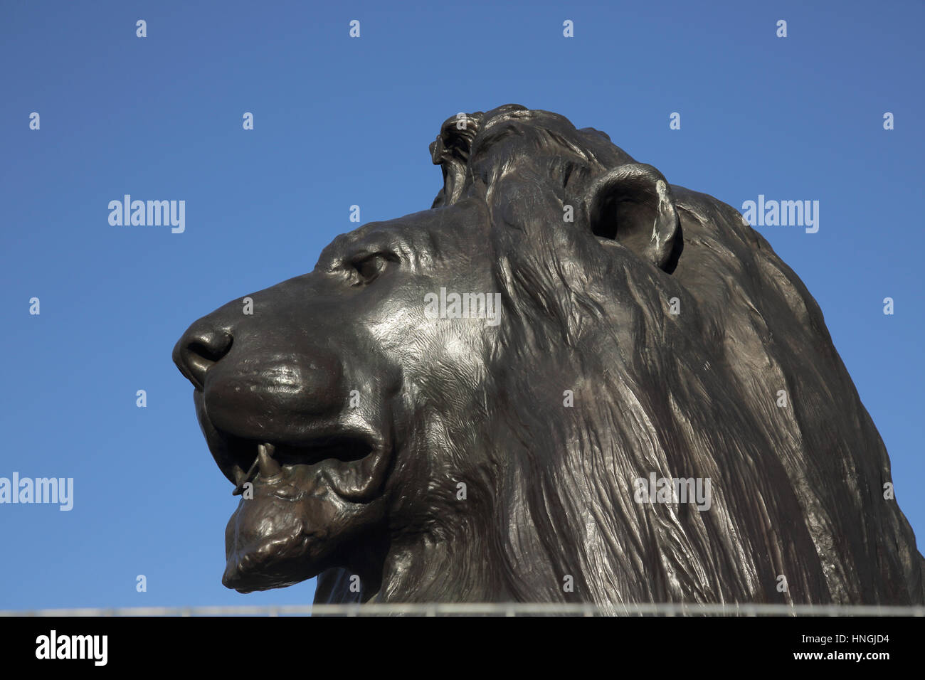 Lion in Trafalgar Square Londra Foto Stock