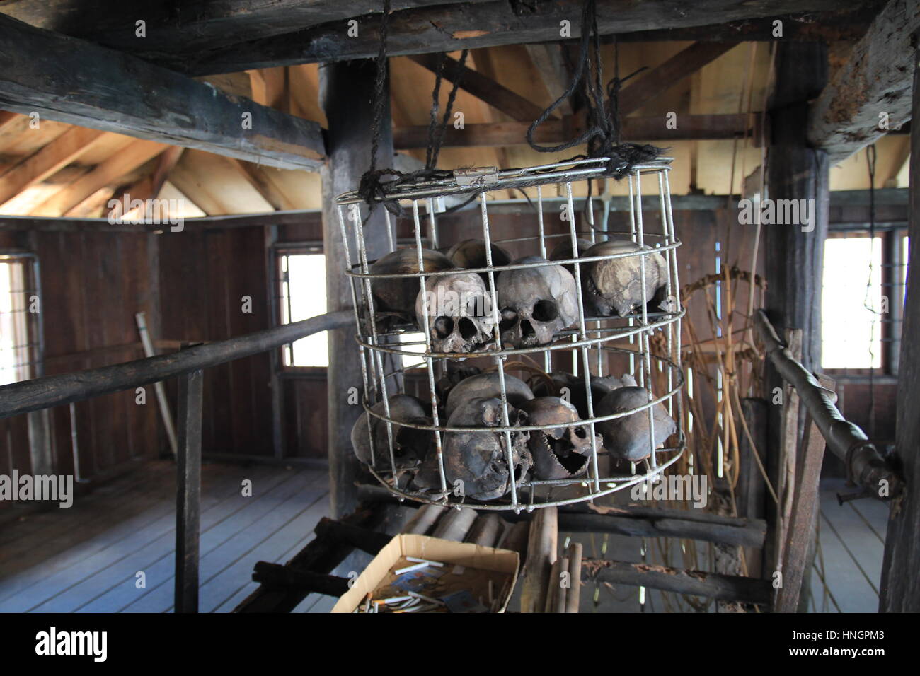 Teschi umani collezione nella Longhouse a Sarawak, Malaysia. Il Ibans utilizzato per confronti teschi umani ottenuti durante headhunting scorrerie come loro più premio Foto Stock