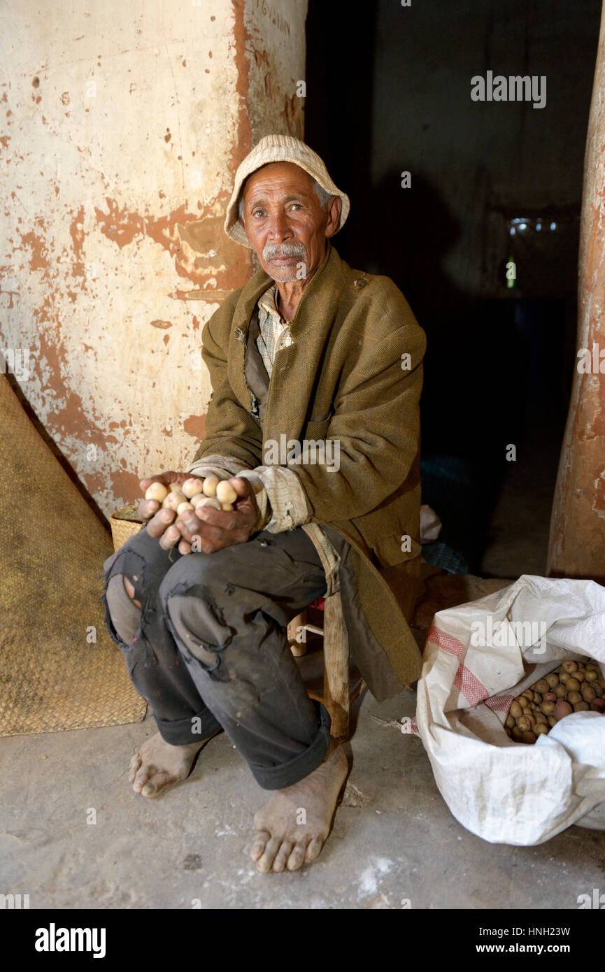 Vecchio contadino con patate, Avarabohitra Fenomanano village, distretto di Tsiroanomandidy, Bongolava regione, Madagascar Foto Stock