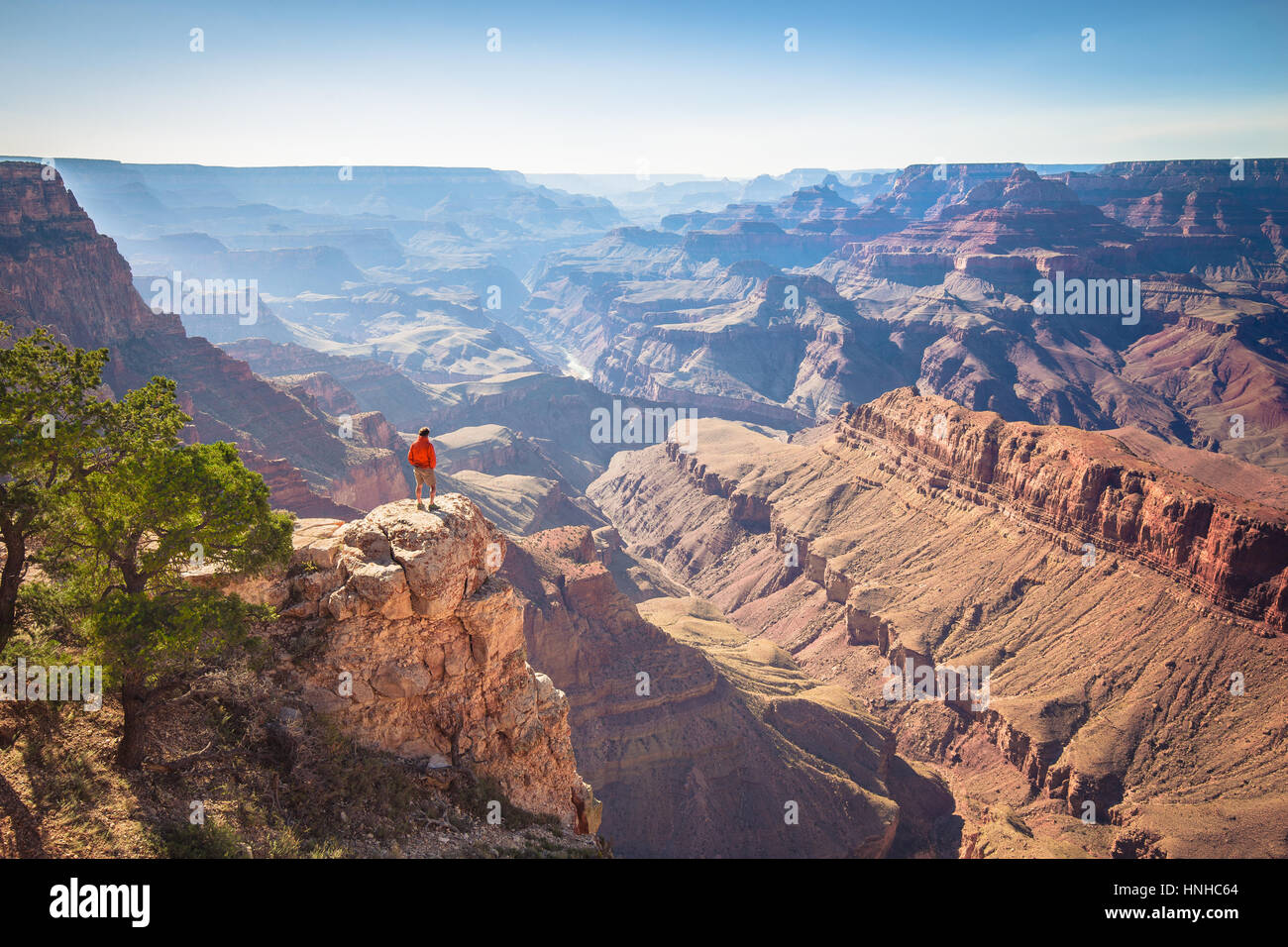Un maschio di un escursionista è in piedi su una ripida scogliera prendendo in una straordinaria vista sulla famosa Grand Canyon in una bella giornata di sole con cielo blu, Arizona, Stati Uniti d'America Foto Stock