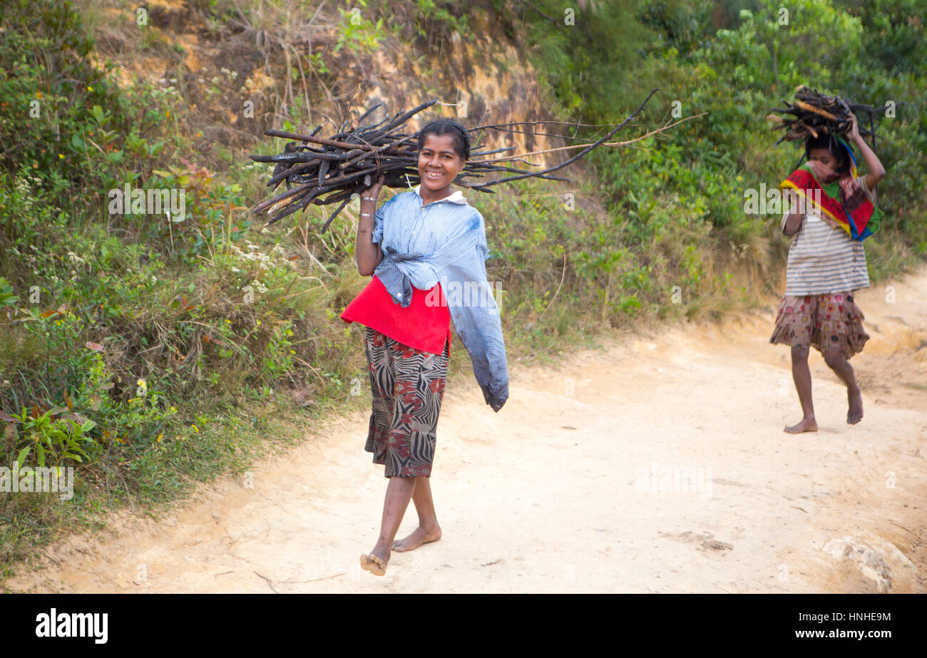 Giovani donne malgasce camminando sulla strada sterrata e trasportare il legno secco. La vita quotidiana delle persone che vivono nelle zone rurali dei pescatori europee in Madagascar per Foto Stock