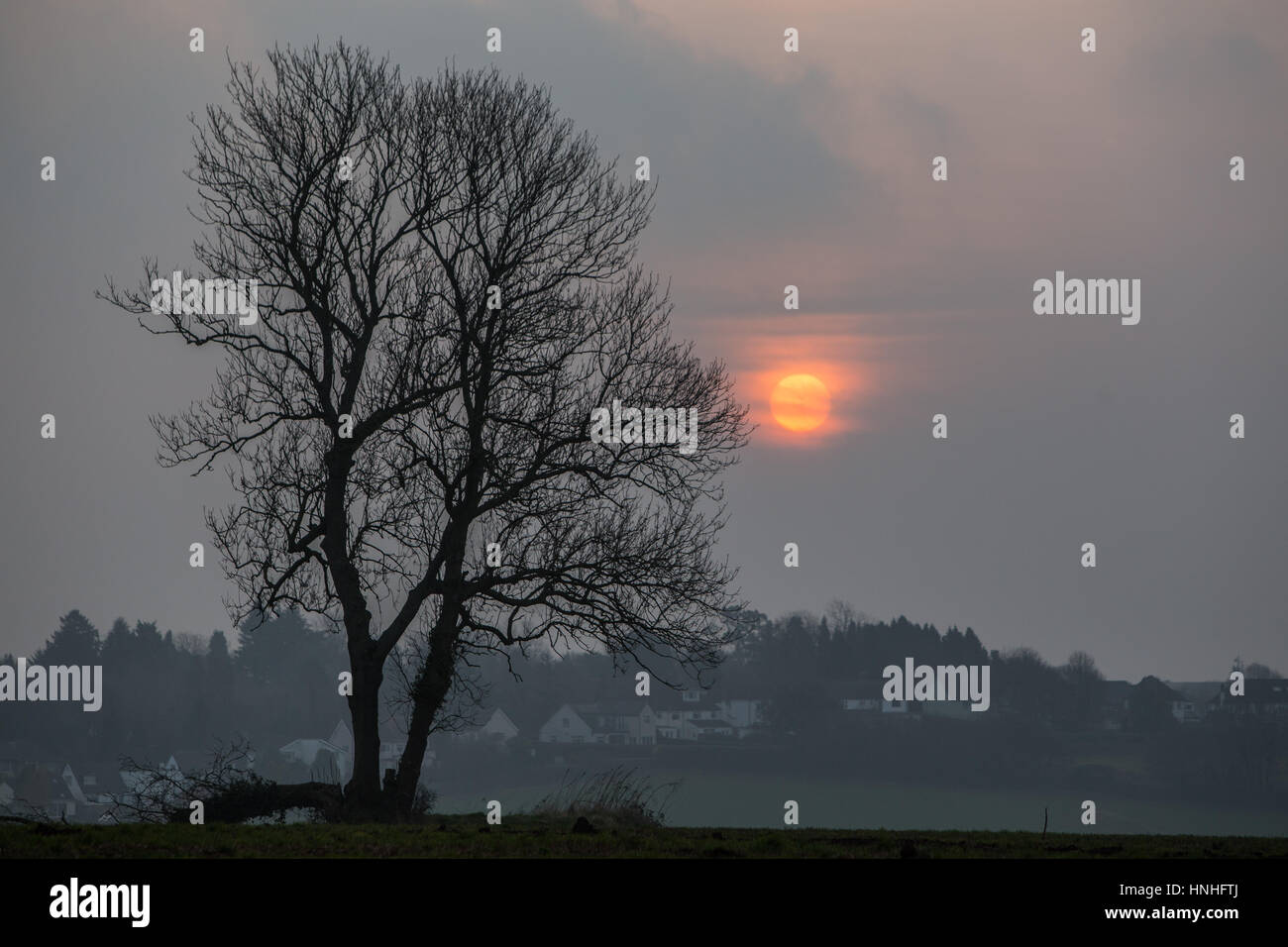 Cardiff, Regno Unito. Il 13 febbraio 2017. Il sole sta lottando per brillare attraverso uno strato di bassa cloud questa mattina, lunedì 13 febbraio 2017, nei pressi della vecchia St Mellons, Cardiff. Credito: Chris Stevenson/Alamy Live News Foto Stock