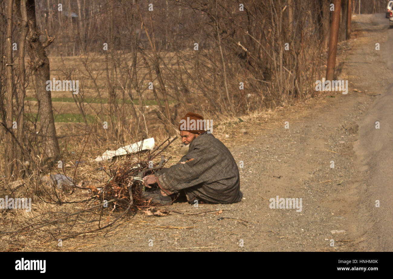 F o lle village, Kashmir. Xiii Febbraio, 2017. Un anziano abitante del Kashmir seduti lungo la banchina, bundling bastoni a magazzino per le esigenze quotidiane durante un arresto in f o lle villaggio del sud del Kashmir. Credito: ajaz bhat/Alamy Live News Foto Stock