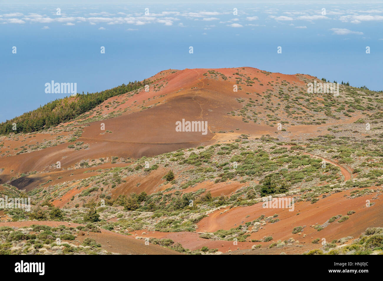 Paesaggio colorato di El Parco Nazionale del Teide, Tenerife, Isole canarie, Spagna Foto Stock