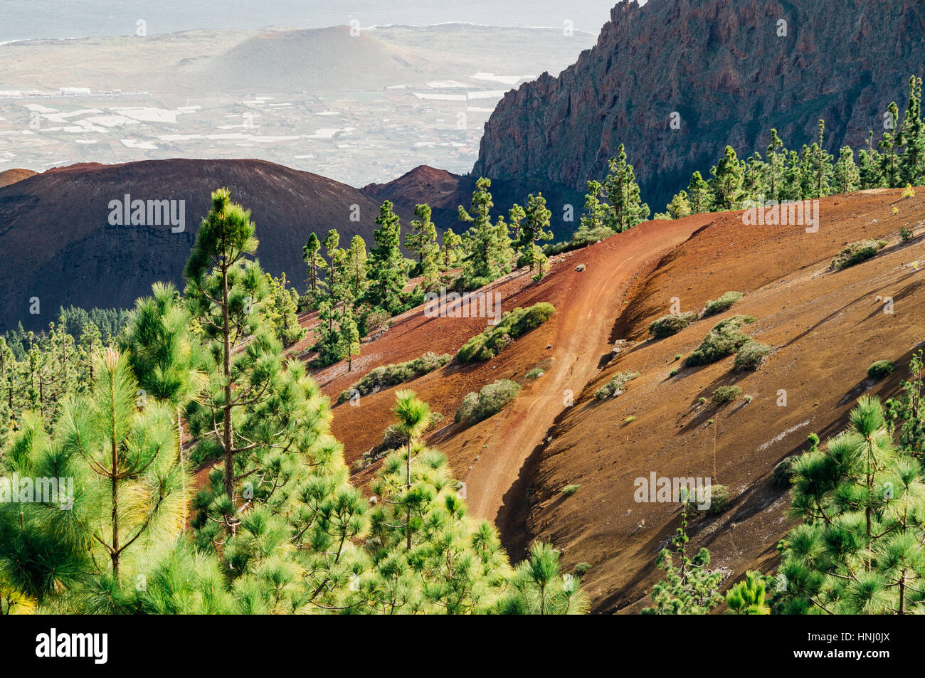 Extreme strada vulcanica sulla colorata pendici dell'isola di Tenerife, Spagna Foto Stock