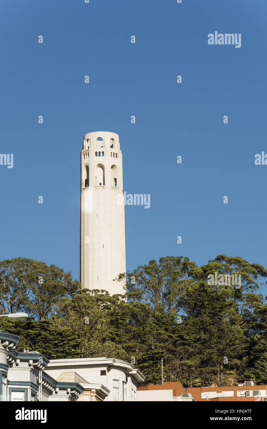 La Torre Coit fotografato dal lato est del colle del telegrafo in Nord area della spiaggia di San Francisco, California, Stati Uniti d'America. Foto Stock