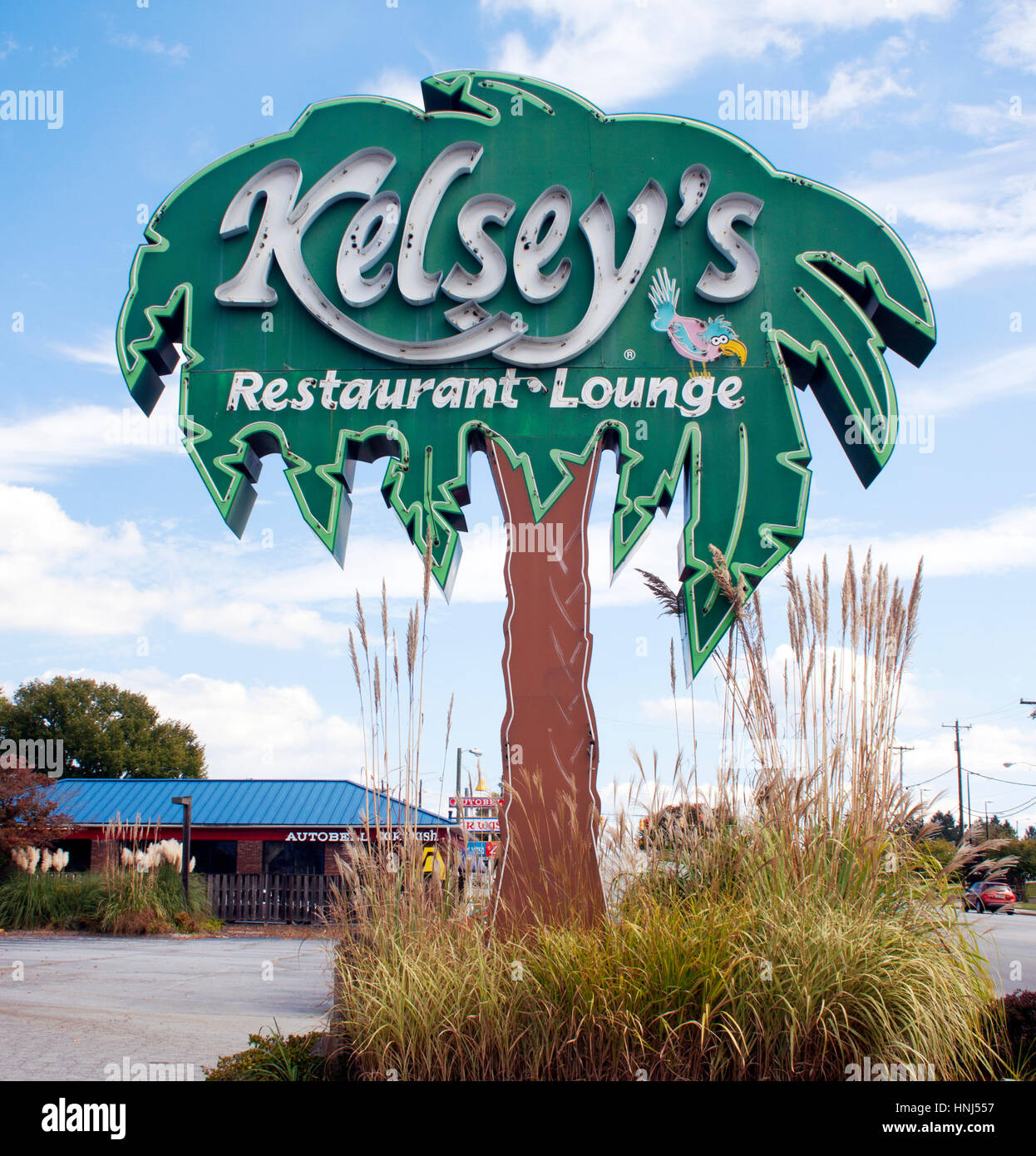 Il Kelsey's Palm Tree Restaurant, con l'insegna a Hendersonville, North Carolina, si erge alto come un faro rétro a lato della strada con fascino tropicale e fascino vintage. Foto Stock