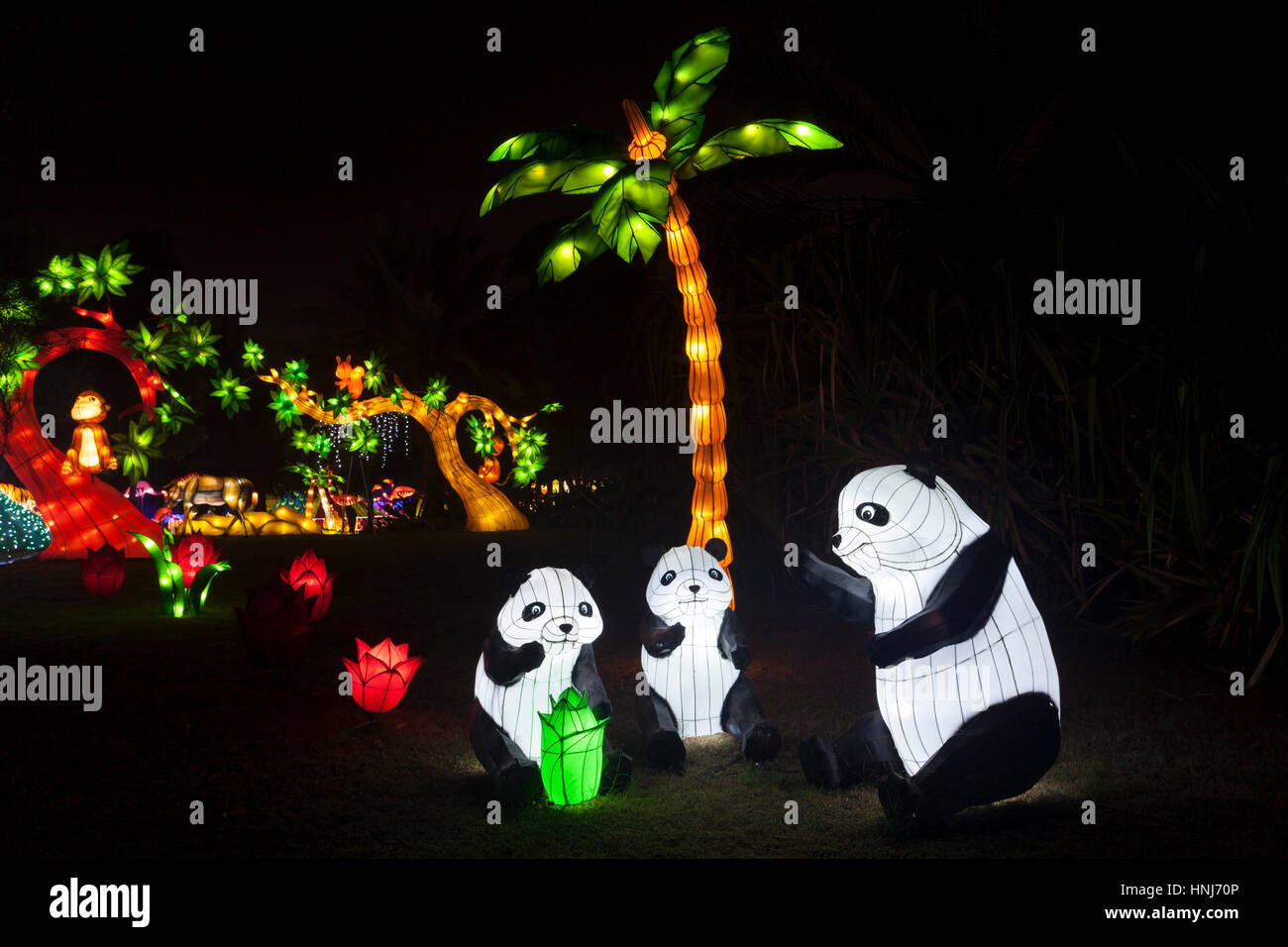 DUBAI, Emirati Arabi Uniti - 6 Dic, 2016: Panda famiglia presso il giardino di Dubai Glow theme park illuminato di notte. Emirati Arabi Uniti, Medio Oriente Foto Stock