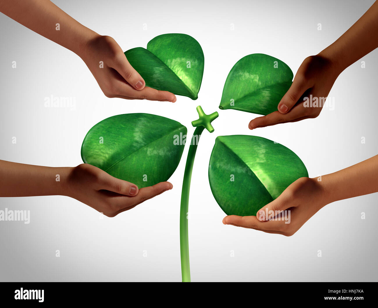 Insieme creando fortune come un gruppo di diversità mani staccate quattro petali di colore verde di Lucky Clover essendo fissato ad uno stelo centrale come sai Foto Stock