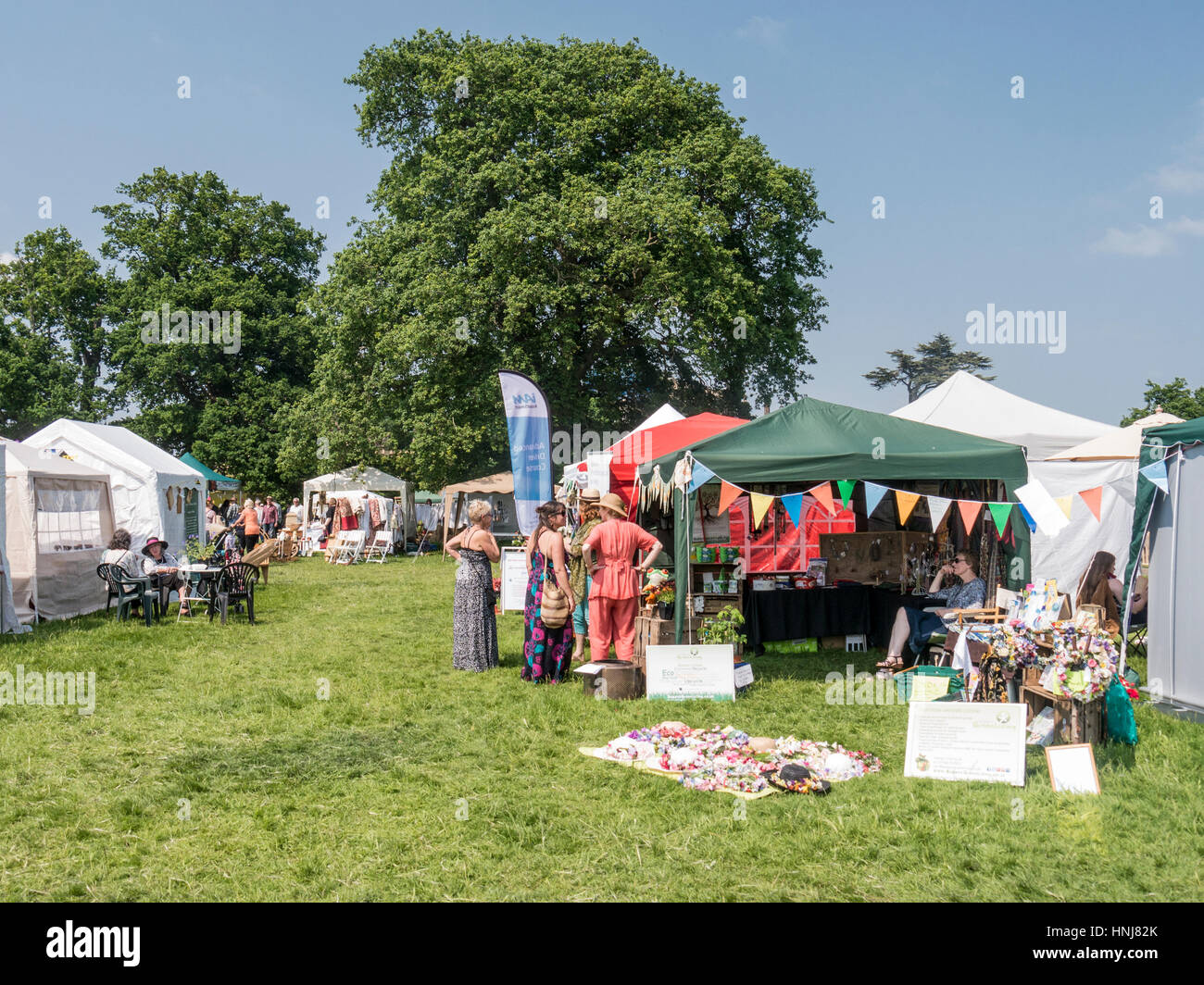 Frangia floreali Fiera, Knepp Castello, West Sussex. Foto Stock