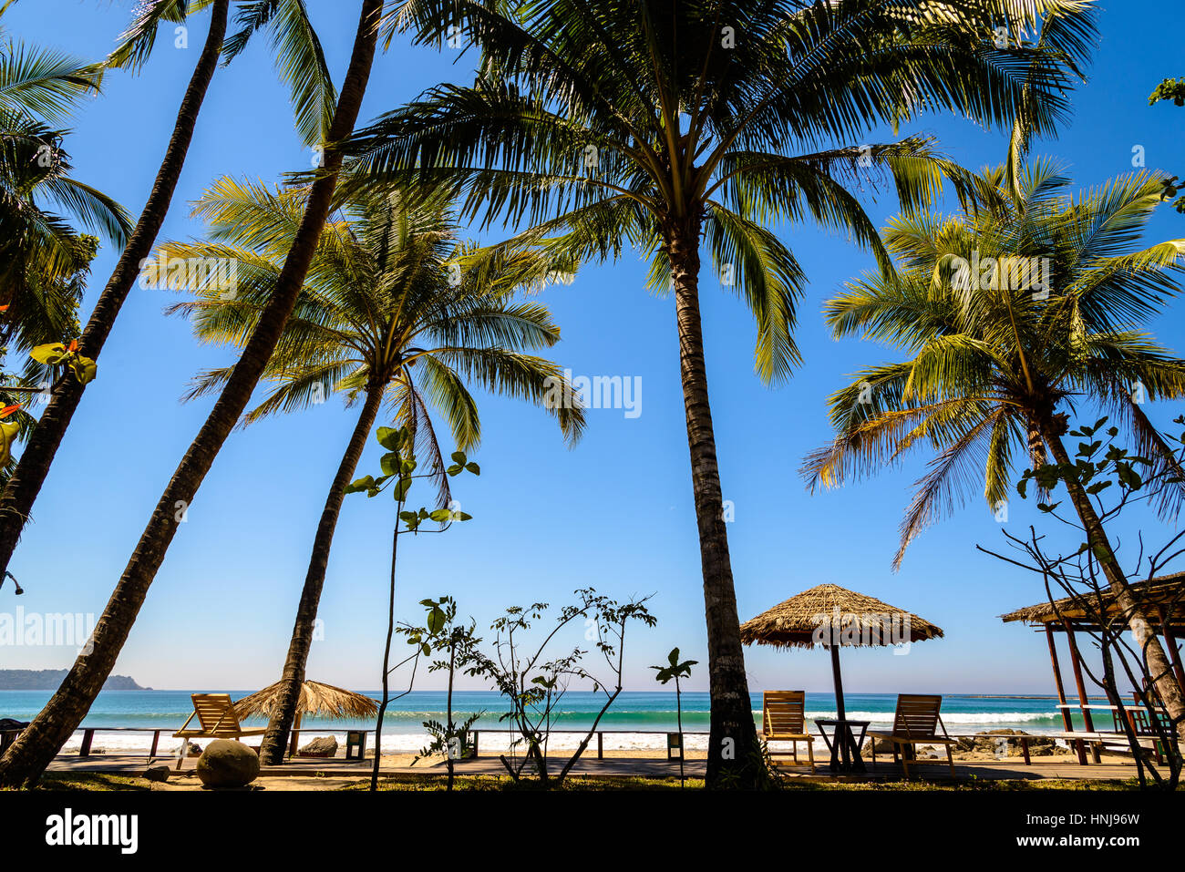 Lungomare con palme sulla spiaggia di Ngapali, Myanmar Foto Stock