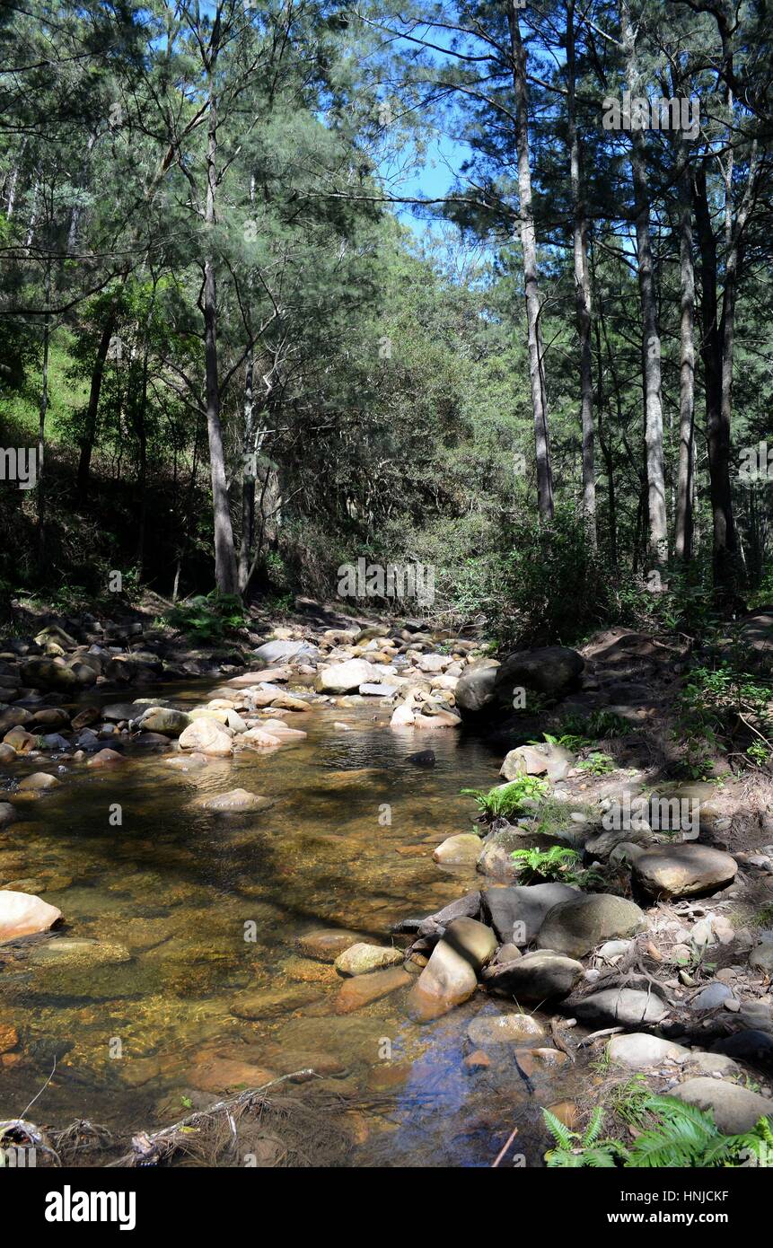 Splendido fiume nel bush australiano su una torrida giornata estiva Foto Stock