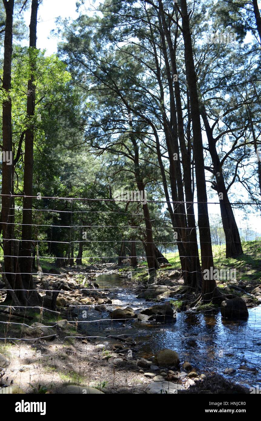 Recinto di filo guardando molto fuori luogo in un glorioso Fiume impostazione Australia Foto Stock