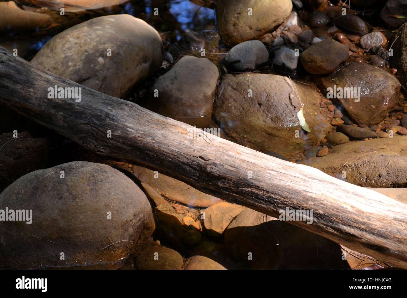 Albero caduto in un fiume formando un ponte naturale Foto Stock