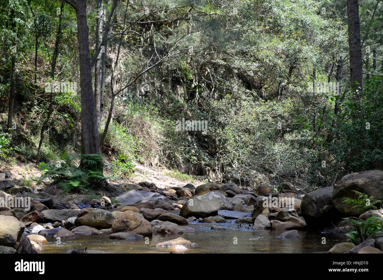 Fiume nel bush australiano con pietre di fiume Foto Stock