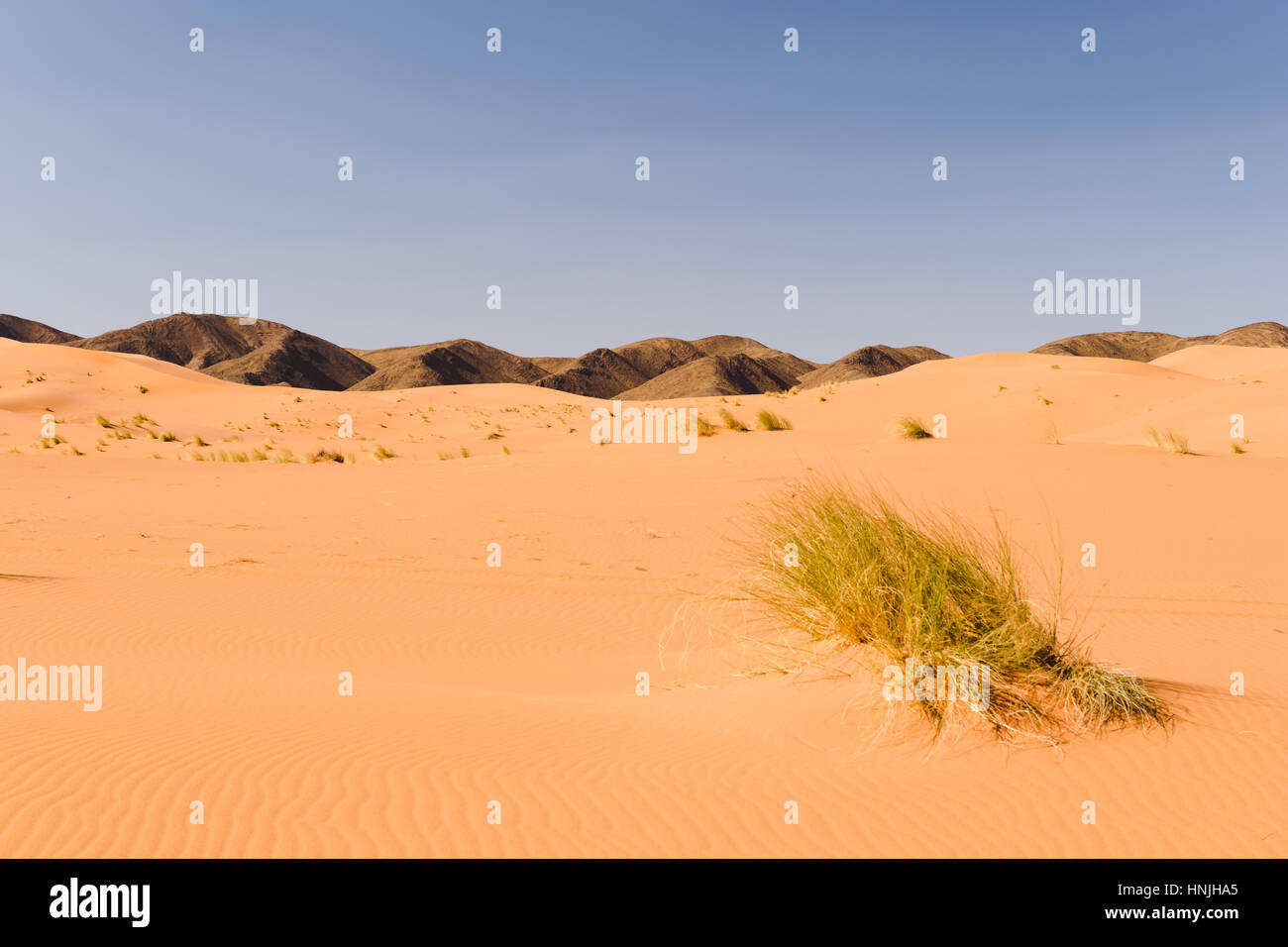 Dune di sabbia Ouzina, Marocco Foto Stock