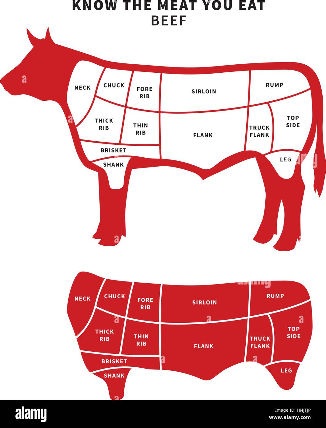 Red tagli di carni bovine, Schema per arrosti e bistecche. Illustrazione Vettoriale. Illustrazione Vettoriale