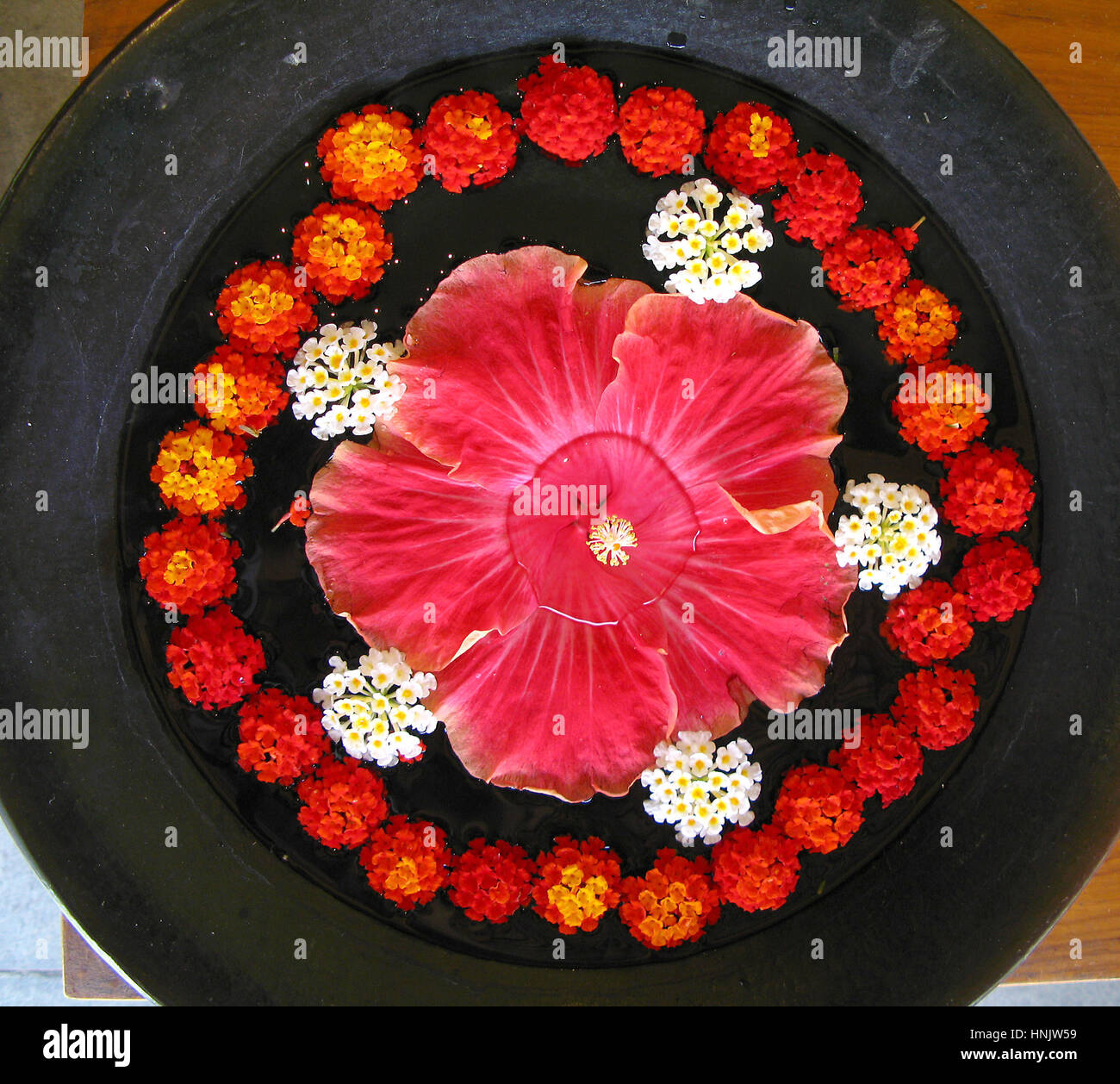 Area Benessere, blossom ciotola con fiore di loto, rose e di colore rosso, Luxushotel Oberoi, Mauritius, spa, piatto con fiori, The Oberoi. Foto Stock