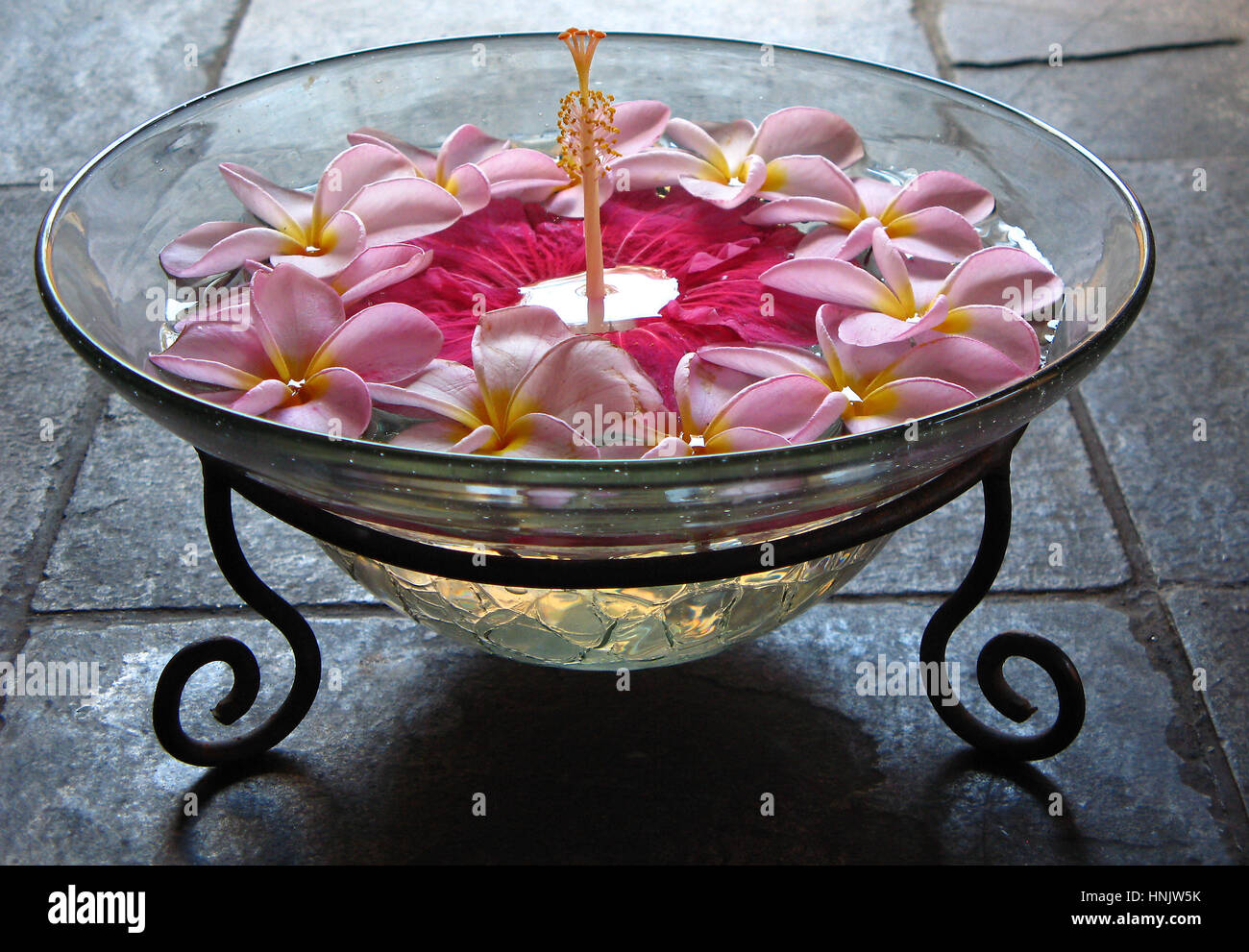 Area Benessere, blossom ciotola con fiore di loto, rose e di colore rosso, Luxushotel Oberoi, Mauritius, spa, piatto con fiori, The Oberoi. Foto Stock