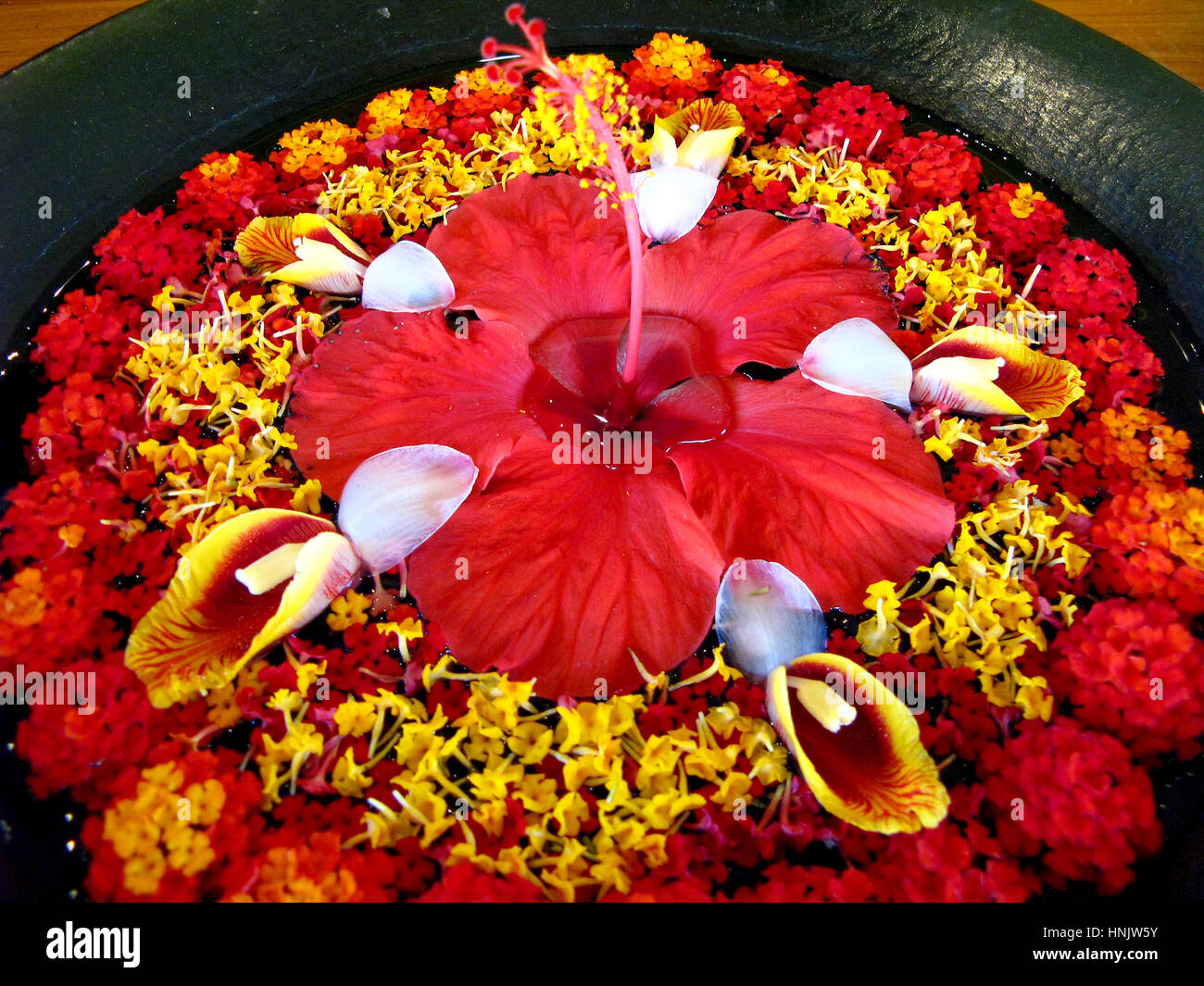 Area Benessere, blossom ciotola con fiore di loto, Luxushotel Oberoi, Mauritius, spa, piatto con fiori, The Oberoi. Foto Stock