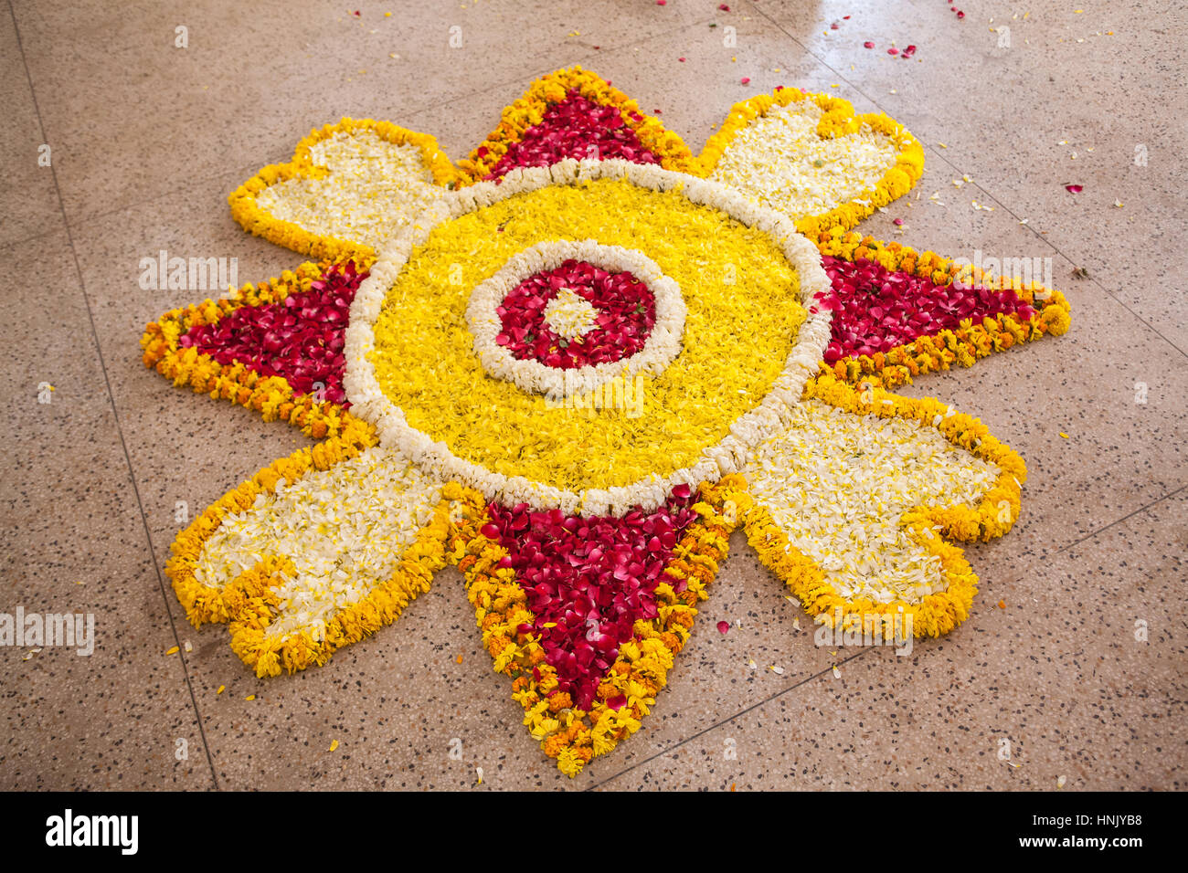 I turisti,folk music,ballo dipinto,decorate,elefanti,a Holi,Molla,colorante elefante gettando,Festival,in Jaipur Rajasthan,l'India,indiana, Asia. Foto Stock