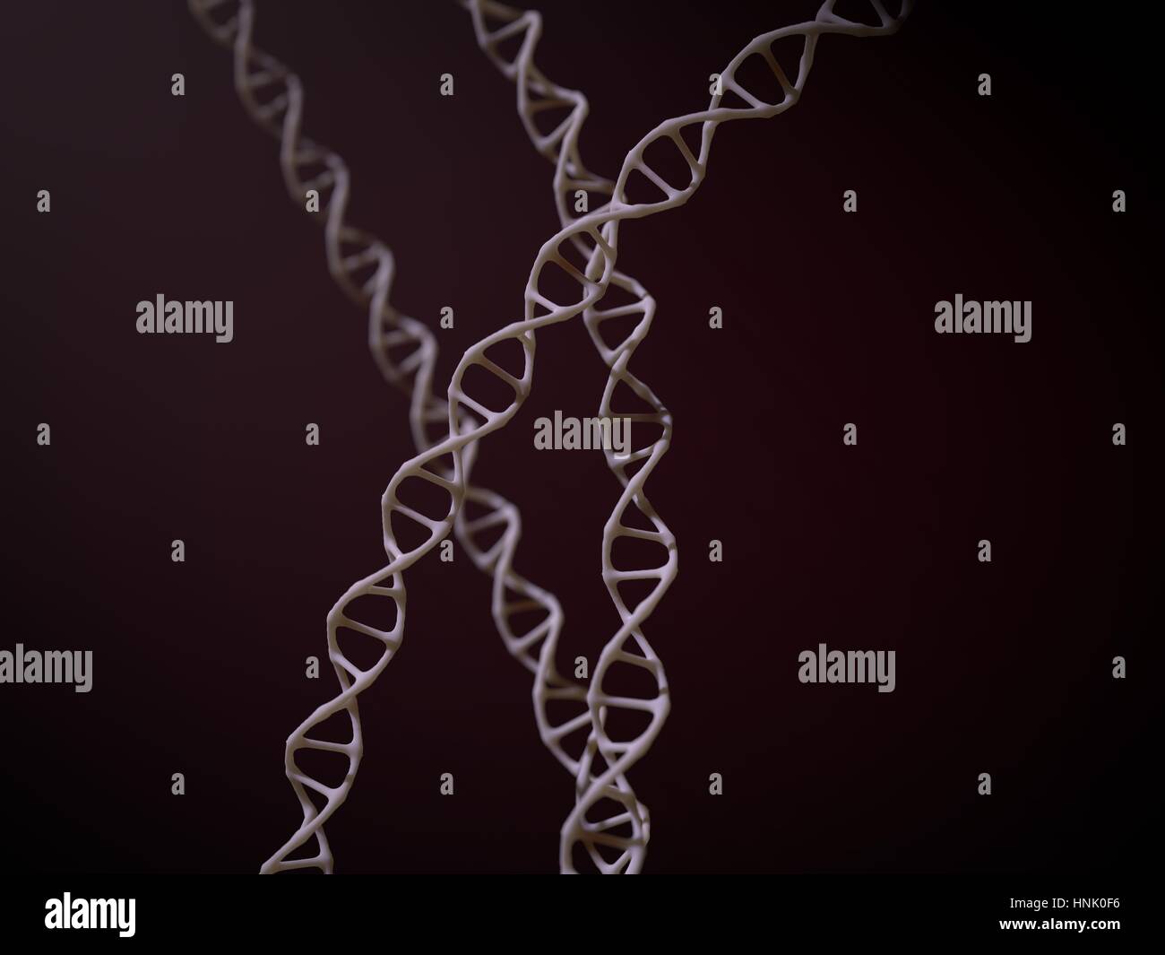 Semplice spirali di DNA. 3d illustrazione con subsurface effetto scattering. Foto Stock