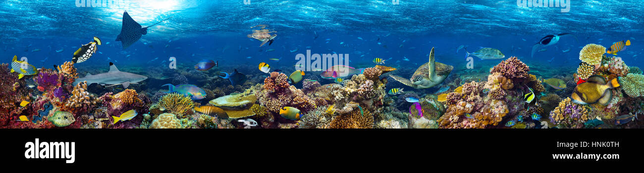 Underwater Coral reef paesaggio super banner ampio background nel profondo blu oceano con pesci colorati e vita marina Foto Stock