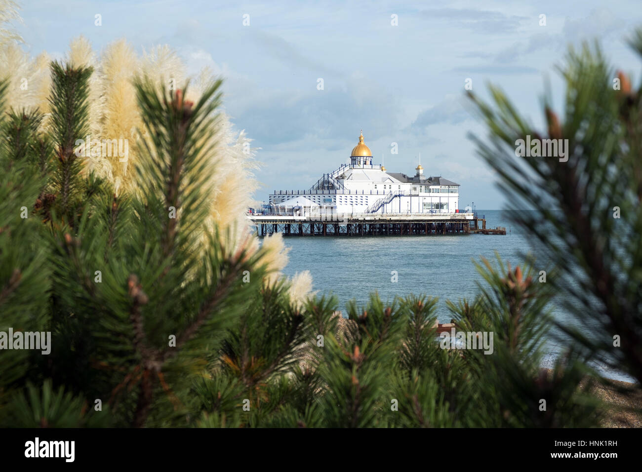 Eastbourne Pier dal lungomare con un abete in primo piano Foto Stock