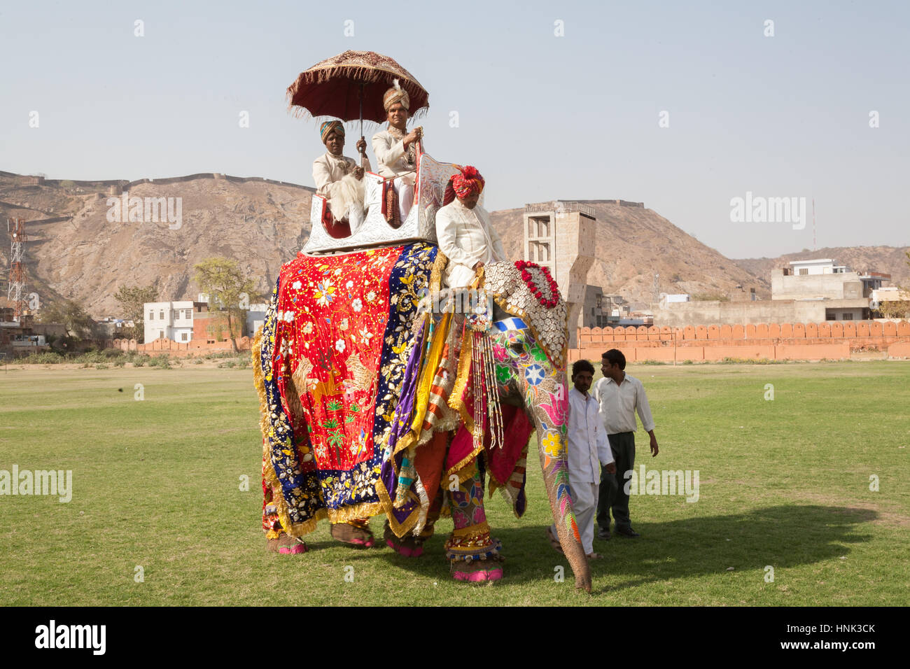 I turisti,folk music,ballo dipinto,decorate,elefanti,a Holi,Molla,colorante elefante gettando,Festival,in Jaipur Rajasthan,l'India,indiana, Asia. Foto Stock