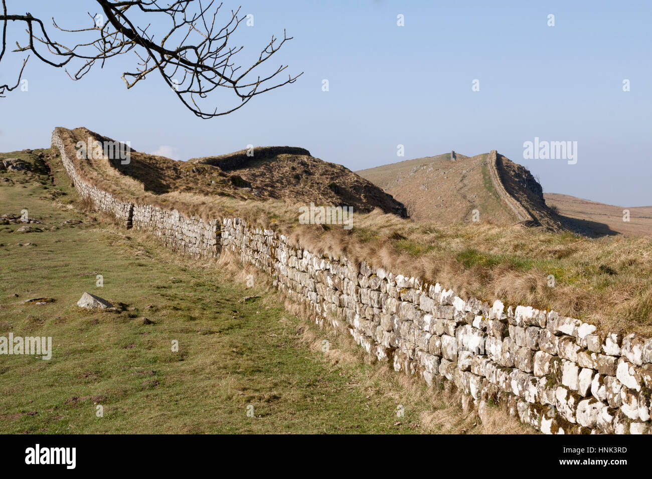 Il Vallo di Adriano: la vista a ovest lungo Housesteads balze e Cuddy's Crags, visto dal bordo del legno un poco a ovest di Housesteads Roman Fort Foto Stock