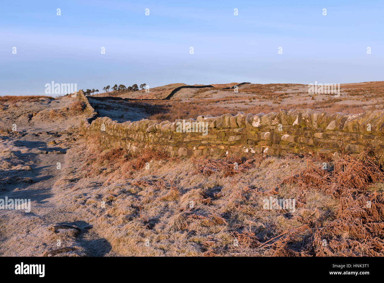 Il Vallo di Adriano in inverno: la vista guardando ad ovest verso Alloa Lea e sulle balze Walltown, da poco a ovest della collina Cockmount Foto Stock