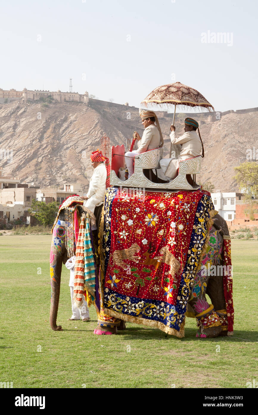 I turisti,folk music,ballo dipinto,decorate,elefanti,a Holi,Molla,colorante elefante gettando,Festival,in Jaipur Rajasthan,l'India,indiana, Asia. Foto Stock