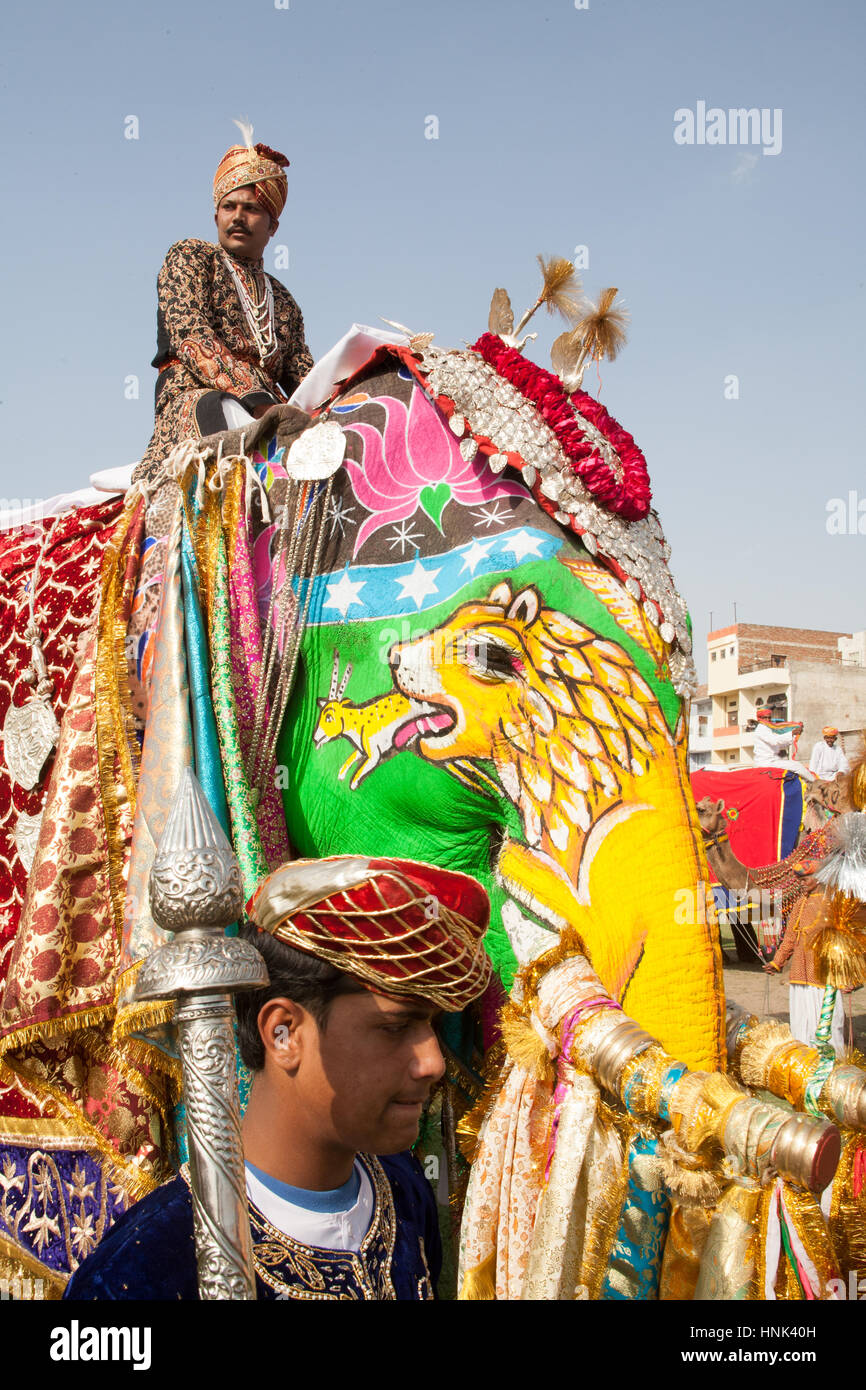 I turisti,folk music,ballo dipinto,decorate,elefanti,a Holi,Molla,colorante elefante gettando,Festival,in Jaipur Rajasthan,l'India,indiana, Asia. Foto Stock