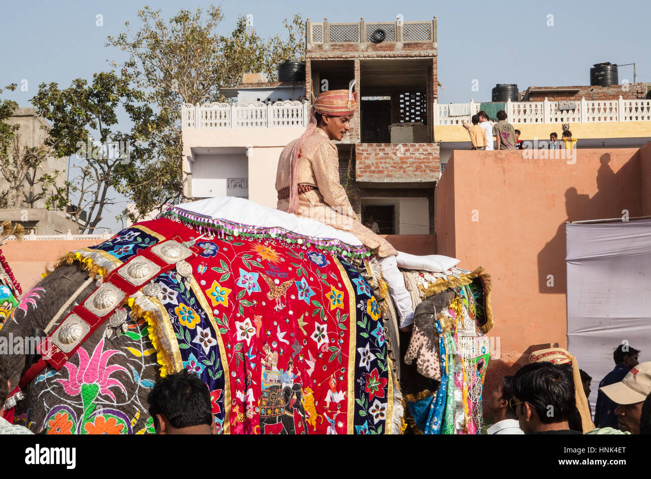 I turisti,folk music,ballo dipinto,decorate,elefanti,a Holi,Molla,colorante elefante gettando,Festival,in Jaipur Rajasthan,l'India,indiana, Asia. Foto Stock