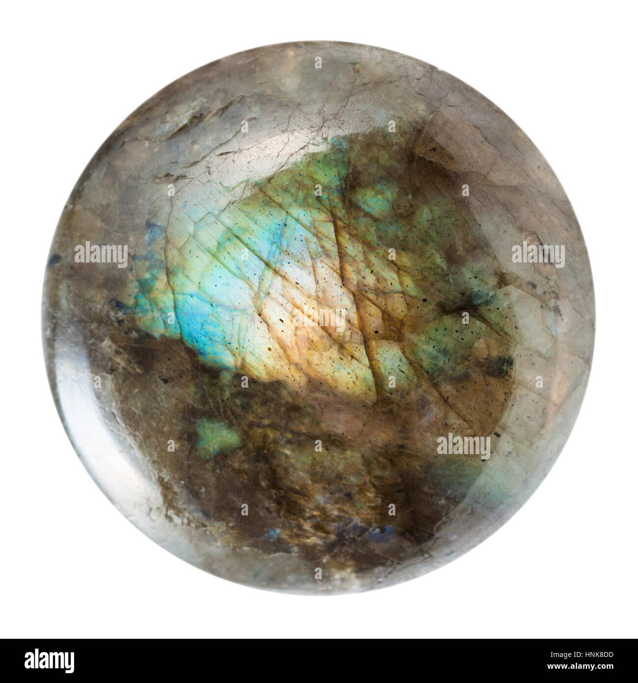 Le riprese in modalità macro della collezione geologica minerale - lucidato labradorite gem isolati su sfondo bianco Foto Stock